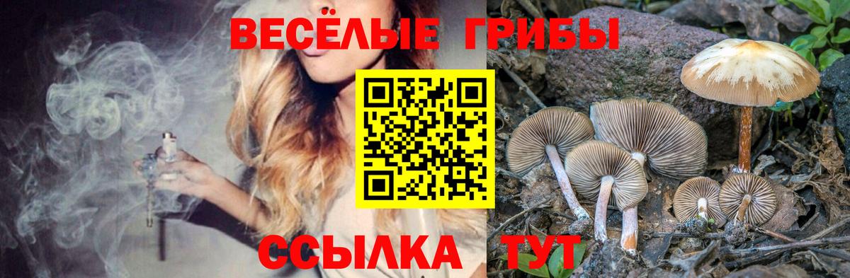 Владивосток  Псилоцибиновые грибы Psilocybe  купить наркотик  Псилоцибиновые грибы прущие грибы  Вход с VPN 